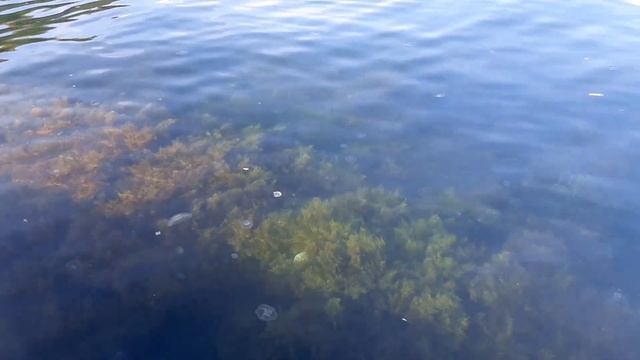 КРЫМ. АЛУШТА 2021. Лазурный берег. СТАХЕЕВСКАЯ горка смотреть онлайн