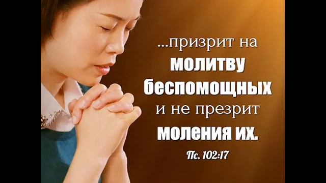 Гитара семиструнная. Виктор Петлюра смотреть онлайн