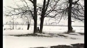 Охота на зайца | Одесская область | Выпуск №78 (UKR)