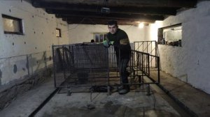 так и Свиней перехочешь держать. строительство свинарника продолжается