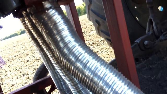 Посадка чеснока Любаша (зубок) 28.09.2017 год смотреть онлайн