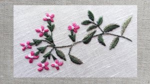 Душевка полевая, 1 часть - лепестки цветов