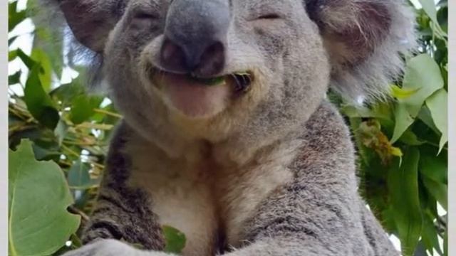 ПЕРЕДАЙ УЛЫБКУ ДРУГУ смотреть онлайн