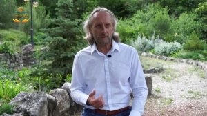 Главный закон самоисцеления. Как исцелить себя с помощью метода самотрансформации доктор Синельнико