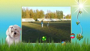 Мой весёлый, звонкий мяч!