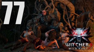 Прохождение The Witcher 3: Wild Hunt: Часть 77 — Лысая гора