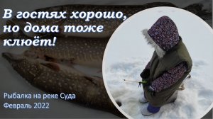 В гостях хорошо, но дома тоже клюёт))) Рыбалка на реке Суда!