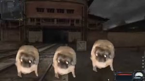 Мопсы танцуют под песню бандитов 1час🔥🔥🔥