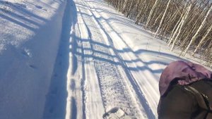 ЯМАХА ВИКИНГ ПРОФЕССИОНАЛ (YAMAHA VIKING PROFESSIONAL)