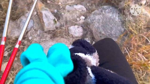 АМЕРИКАНСКИЕ ЗАБАВЫ С МУЖЕМ АМЕРИКАНЦЕМ. ВМЕСТО ЯГОД И ГРИБОВ. ЧТО ЛЮБЯТ АМЕРИКАНЦЫ
