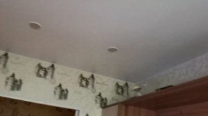 Кореллы летают по квартире и живут свободно