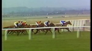 1987 Tote Gold Trophy Handicap Hurdle