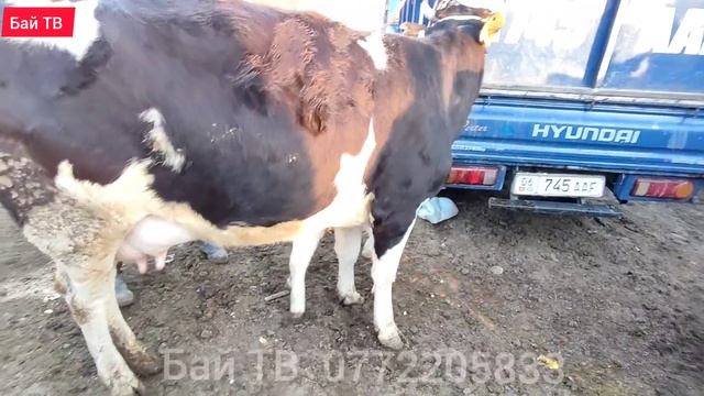 27 ФЕВРАЛЬ 2022 смотреть онлайн