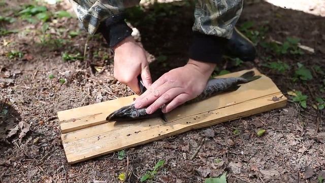 "Один ершок - ухи горшок" смотреть онлайн