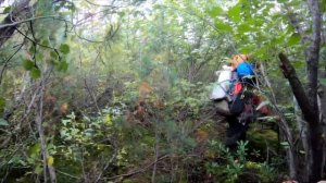 Левая Мама 2022 (Верхнеангарский хребет, р. Левая Мама, сплав на пакрафтах)