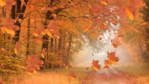 А Я НЕСУ ТЕБЕ ЦВЕТЫ