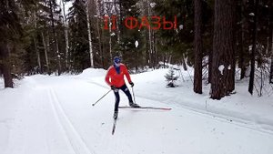 Попеременный двухшажный коньковый ход