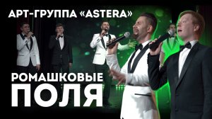 Ромашковые поля / Арт-группа "Астера" Astera vocal band