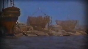 Петр I. Иллюстрированная история Российского государства