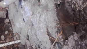 Корни плюща разрушат фундамент дома?