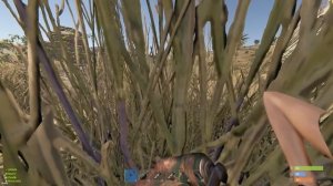 Я ИГРАЛ 40 ЧАСОВ, И ВОТ ЧТО ИЗ ЭТОГО ВЫШЛО Rust/Раст