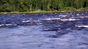 Рыбалка озеро суходольское 2015