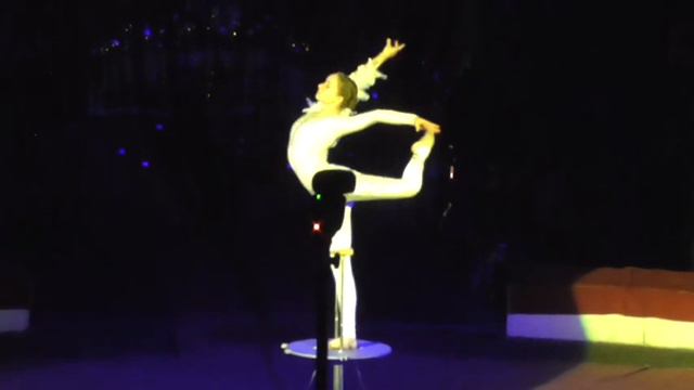 Эквилибр на тростях  Лебединое озеро очень классно-Equilibre on canes Swan lake is very cool