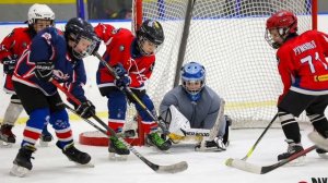 Tik tok Маленький вратарь хоккей Hockey goalie