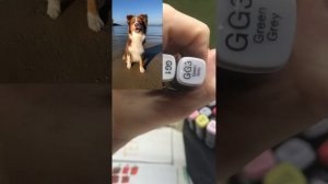 Туториал на собаку из ТТ