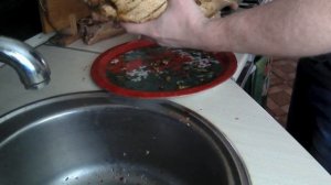 Утка в тандыре по домашнему