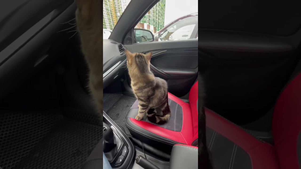 LADA VESTA.. Лучший обзор смотреть онлайн