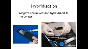 Lecture 6: Introduction to Microarrays