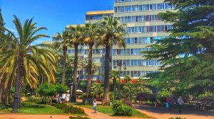 Навагинская Сочи 2024. Одна из центральных улиц города