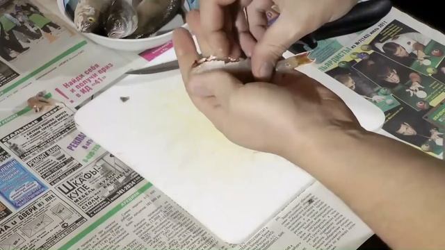 6 способов как быстро почистить крупного и мелкого окуня. смотреть онлайн