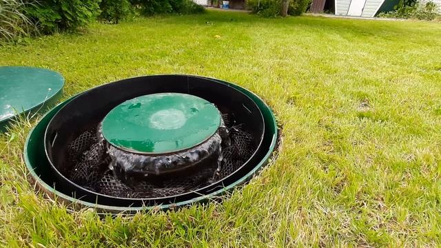 Евролос БИО после года работы