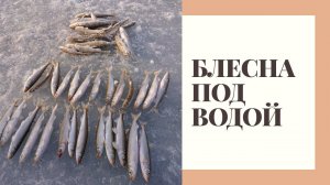 Игра БЛЕСНЫ под водой - МИФ? Рыбалка, зубатка, навага!