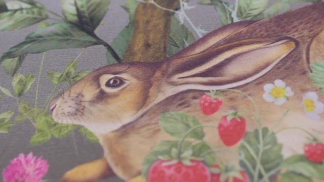 Стеклохолст Vitrulan