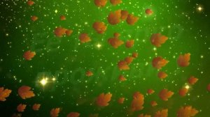 ТАМАРА, с Днём Рождения ! / С Днём Рождения, ТОМА ! / Поздравление с Днём Рождения ТАМАРЕ !