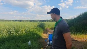 Опрыскивание  дроном в Каменецком районе.  Рапс  последняя обработка перед уборкой . Dji Agras T30