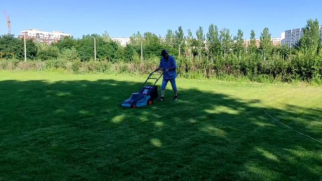 Сопровождаемое трудоустройство недееспособных граждан