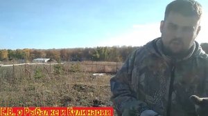 Сажаем 54 саженца хвойных деревьев осенью сосны,ели и горные сосны. Осеняя посадка хвойных саженцев