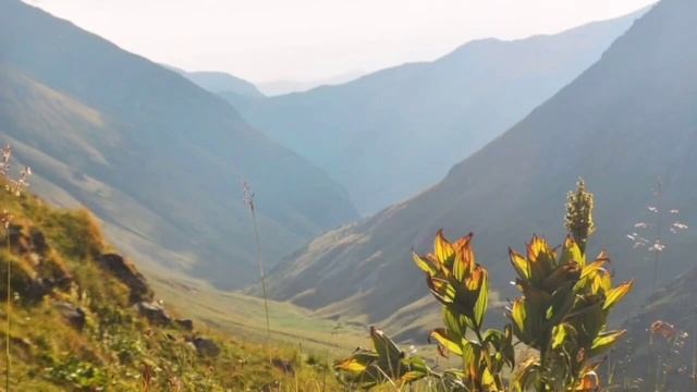 Утренний настрой на удачный день. Это работает! Начинай утро с это загрузки