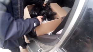 Поиск монет и кладов ( металлоискатель Коллайдер ПРО)