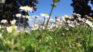 Сплит Хорватия