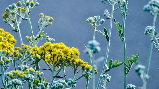 Евангелие дня.Чтимые святые дня.1-я приуготовительная седмица к Великому посту. (13 февраля 2020 г. смотреть онлайн