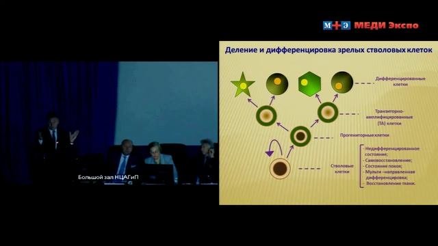 Лекция 