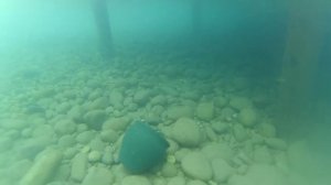 Турция. Кемер. Подводный мир средиземного моря.