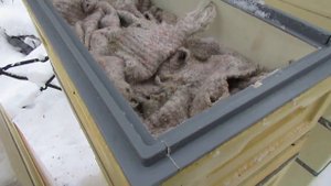 ответы на вопросы по улью биненхаус - зимовка пчел на воле в 6 рамочном улье с магазином