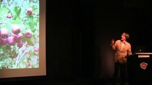 Non-native Plants: A London Perspective - Dr Mark Spencer