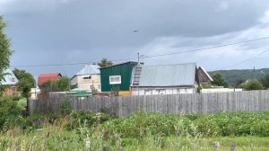 Природа Сибири!Собираем зверобой!